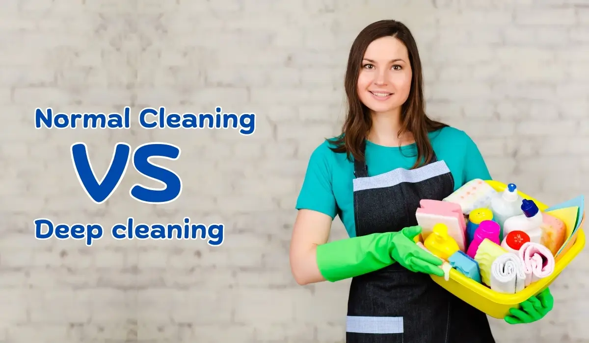 Basic Cleaning vs Deep Cleaning in Dubai | Lily Maids