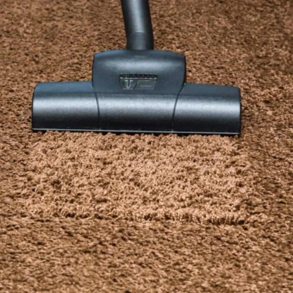 Carpet Cleaning 