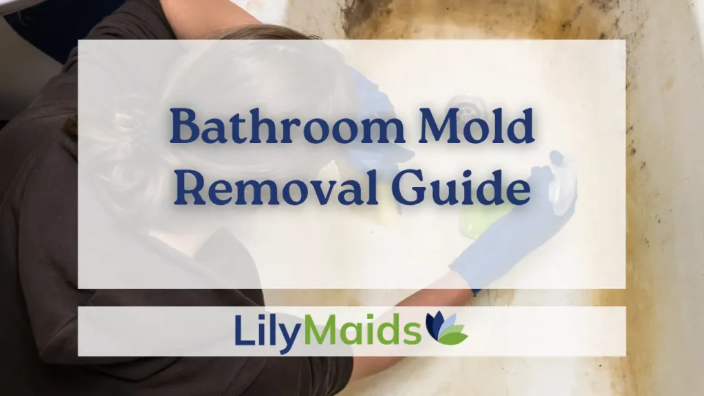  Bathroom Mold Removal Guide