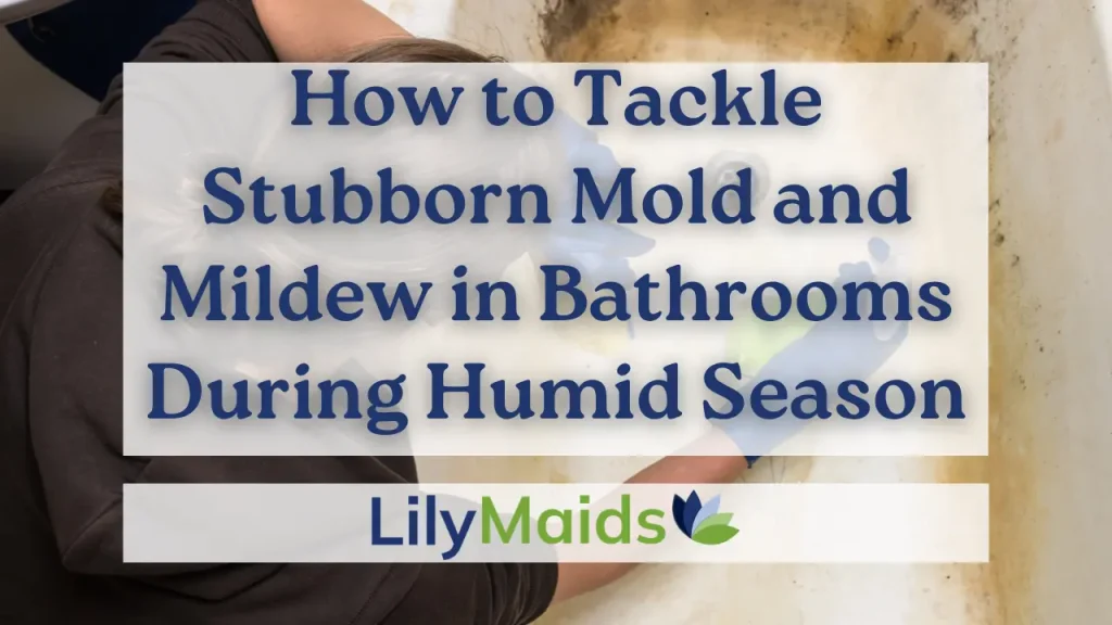 How to Tackle Stubborn Mold and Mildew in Bathrooms During Humid Season