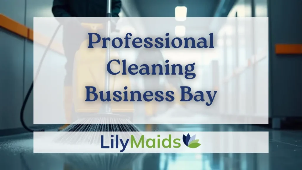 Professional Cleaning Business Bay