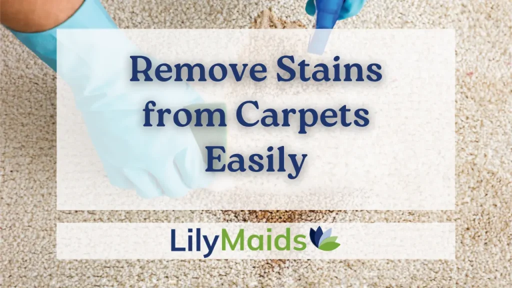 Remove Stains from Carpets Easily