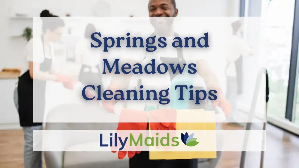Springs and Meadows Cleaning Tips