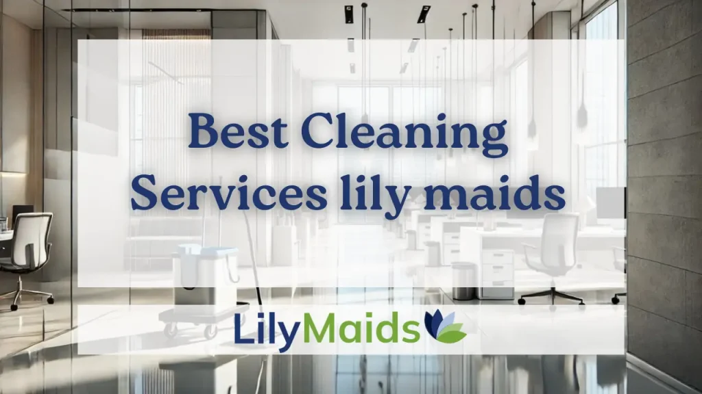 ⁠Best Cleaning Services lily maids