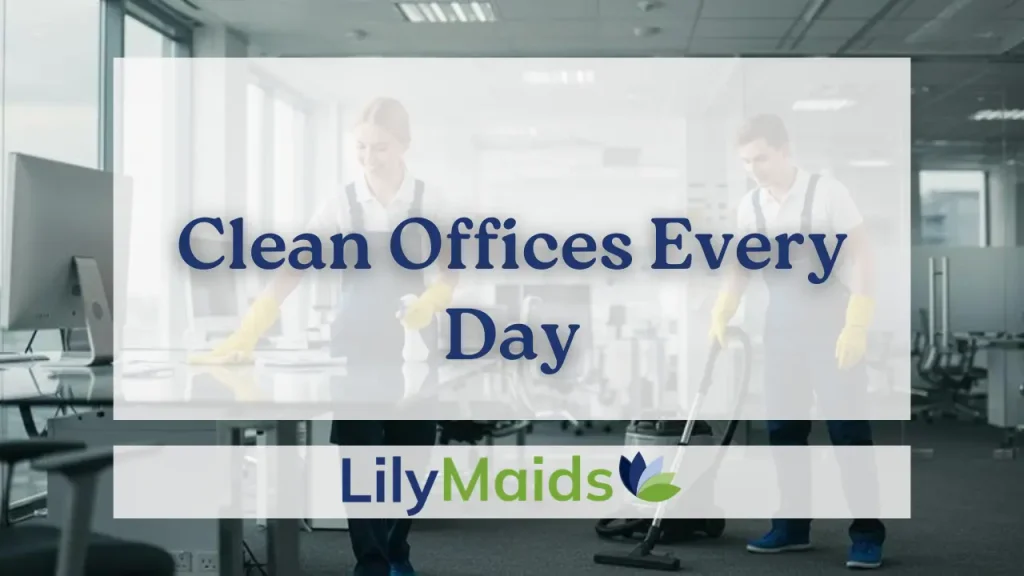 Clean Offices Every Day