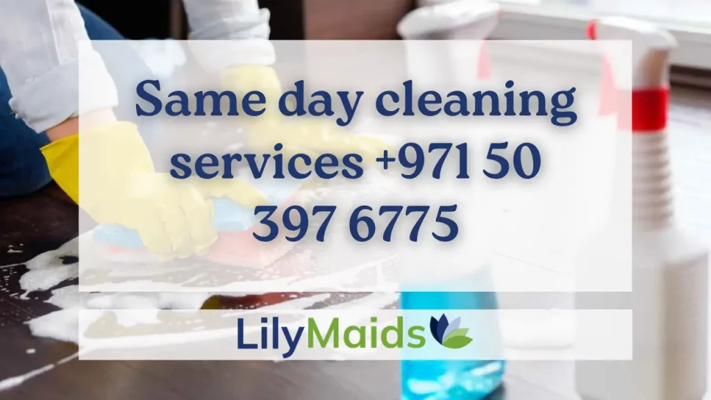 Same Day Cleaning Services in Dubai +971 50 397 6775