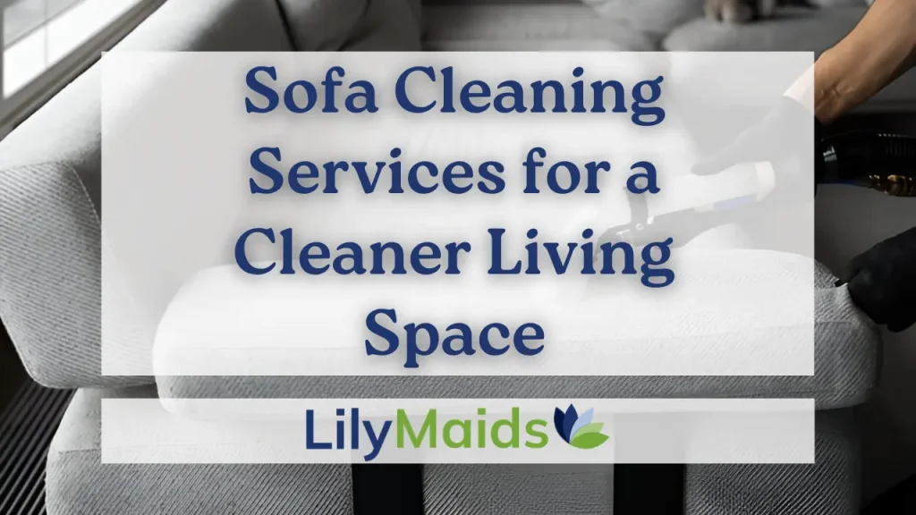 Sofa Cleaning Services for a Cleaner Living Space