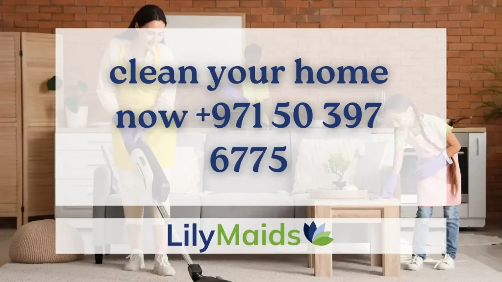 clean your home now +971 50 397 6775