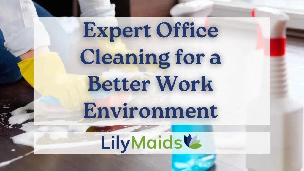 Expert Office Cleaning for a Better Work Environment