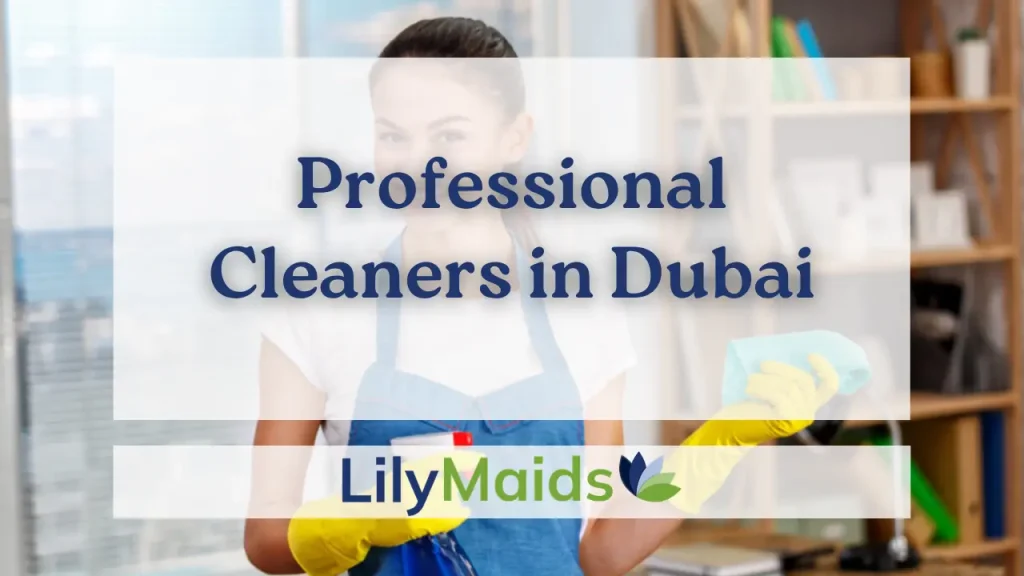 Professional Cleaners in Dubai