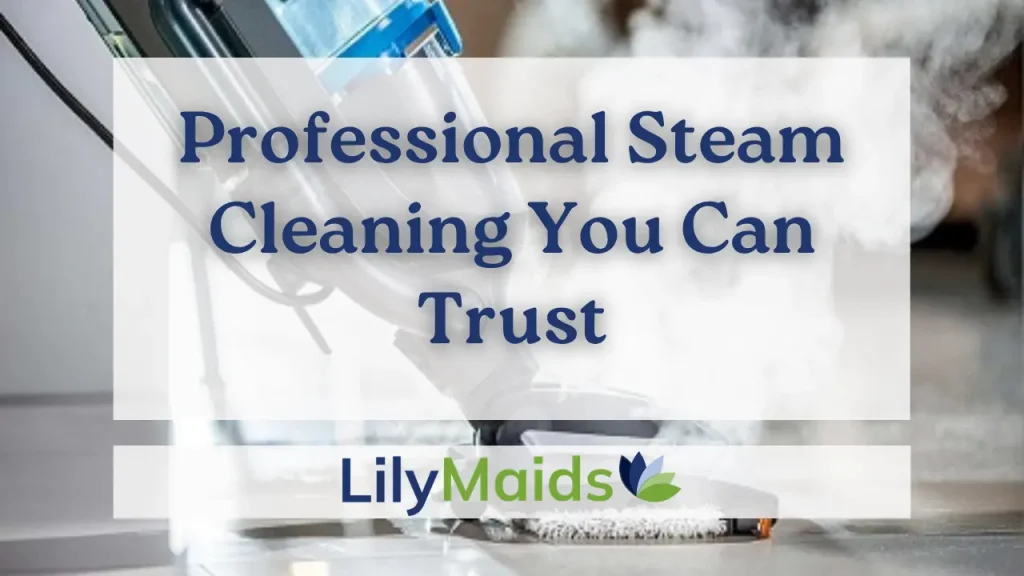 Professional Steam Cleaning You Can Trust