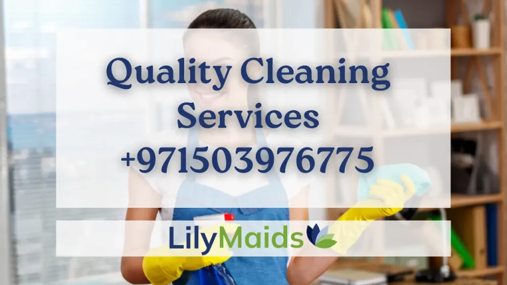 Quality Cleaning Services in Dubai +971503976775