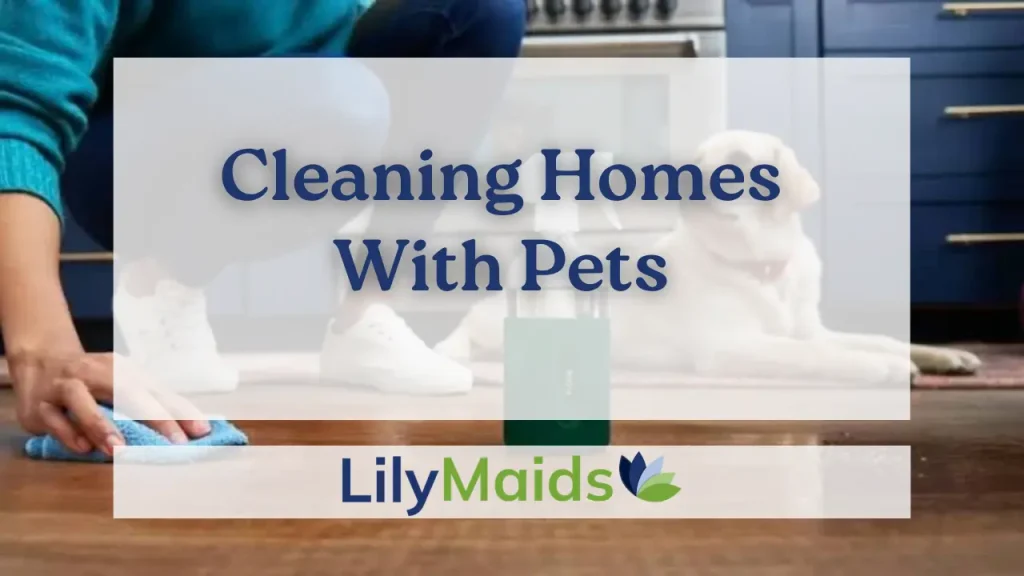 Cleaning Homes With Pets