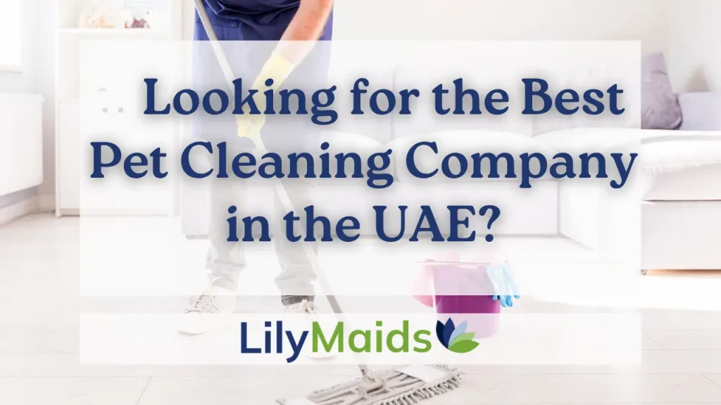 Looking for the Best Pet Cleaning Company in the UAE?