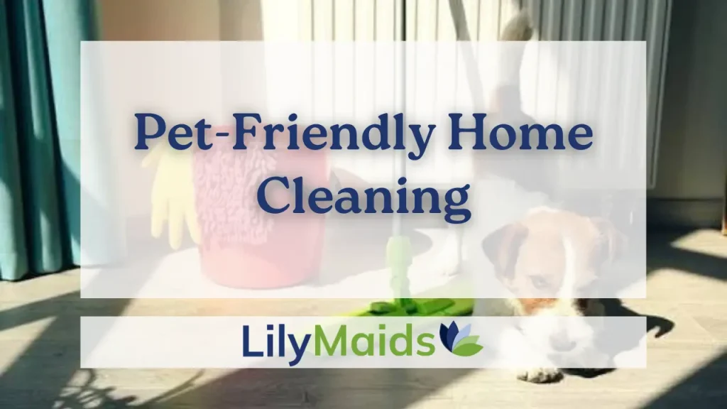 Pet-Friendly Home Cleaning in Dubai