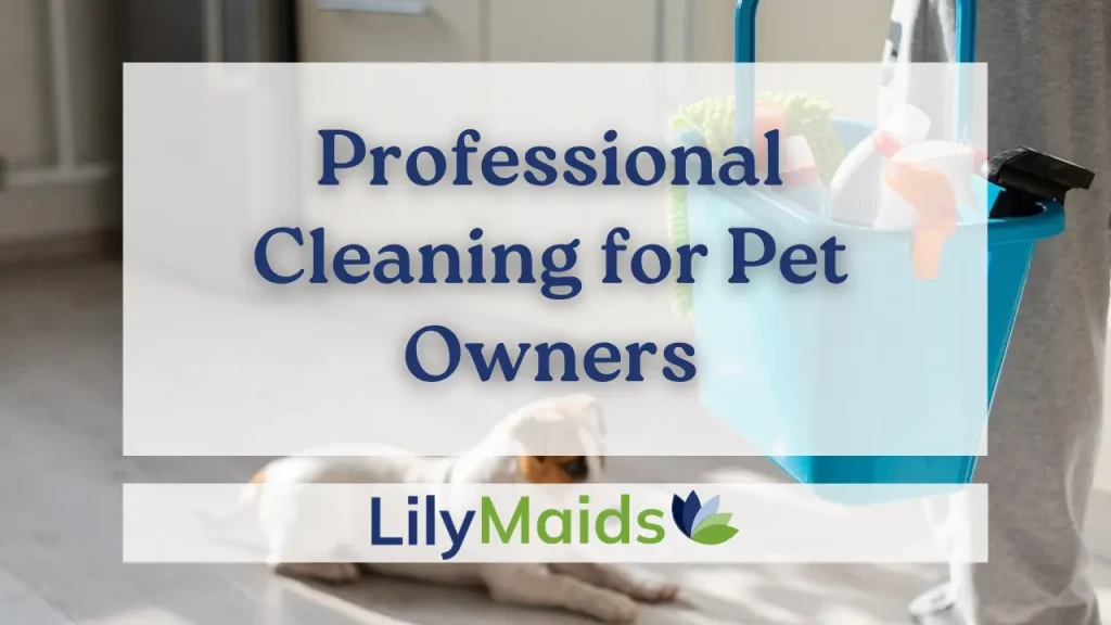 Professional Cleaning for Pet Owners