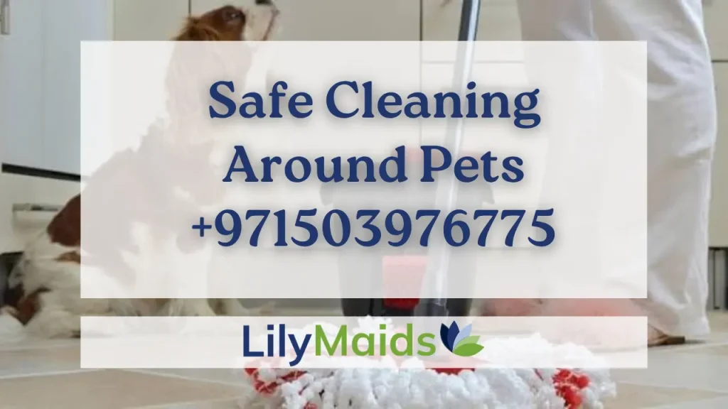 Safe Cleaning Around Pets