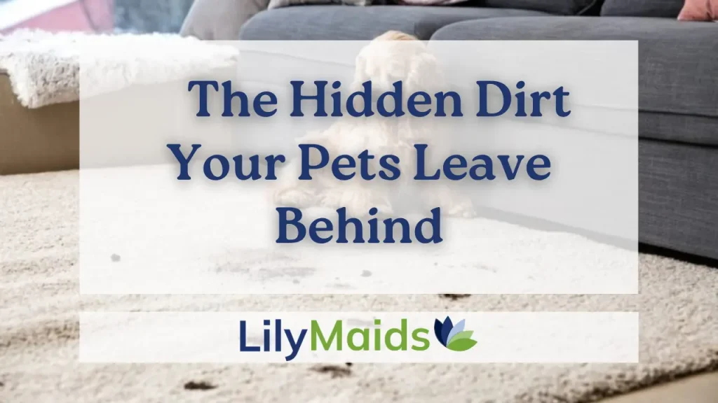 The Hidden Dirt Your Pets Leave Behind