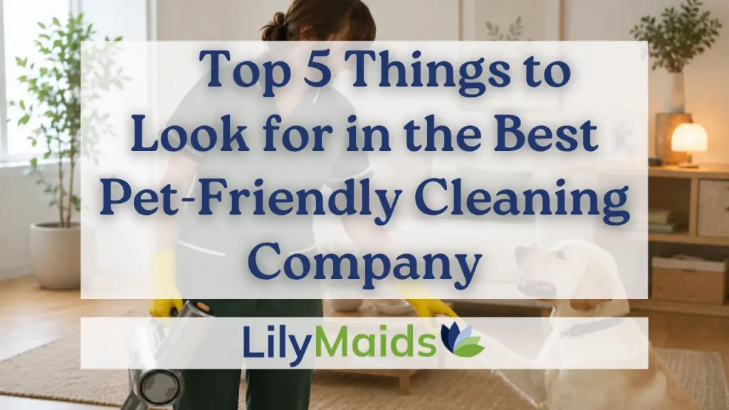 Top 5 Things to Look for in the Best Pet-Friendly Cleaning Company