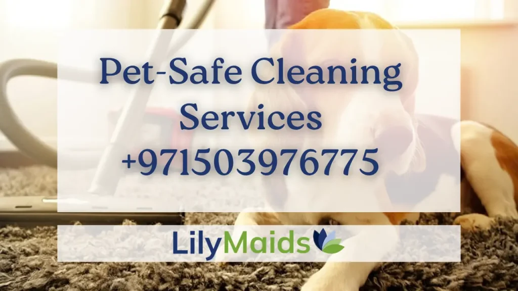 Pet-Safe Cleaning Services +971503976775
